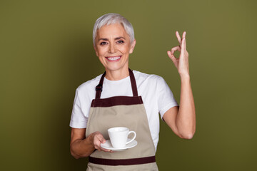 Wall Mural - Photo of shiny attractive lady dressed apron preparing drinks showing okey empty space isolated green color background