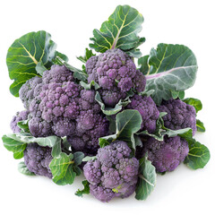 Wall Mural - Purple Broccoli with green leaves, isolated on a white background