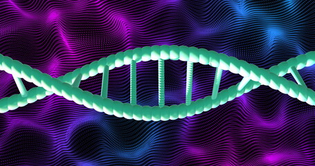 Canvas Print - DNA strand over animated purple and blue wavy background