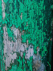 photo features a piece of wood with peeling teal paint. The texture is rough and aged