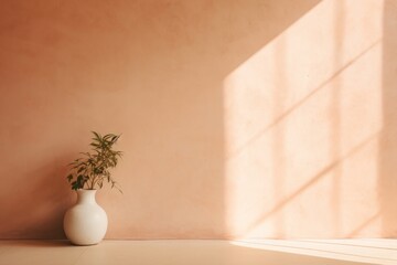 Canvas Print - Wall architecture sunlight window.