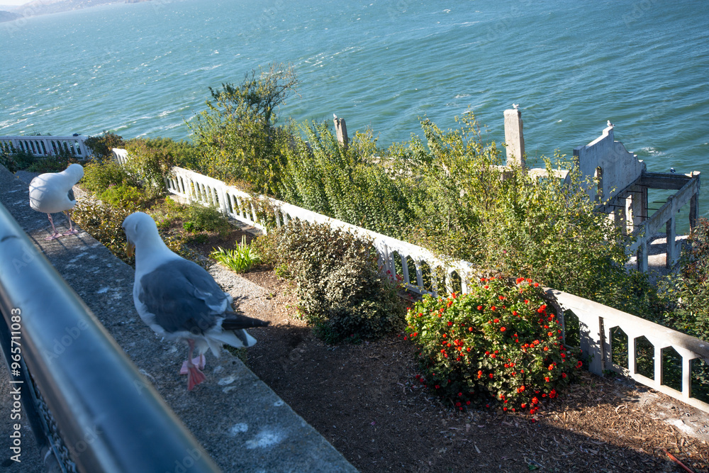 Alcatraz, a former maximum-security prison located on Alcatraz Island ...