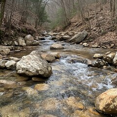 Poster - A clear stream flows through a rocky creek bed in a forest.