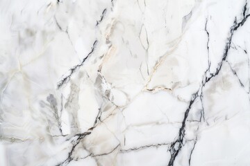 Polished white marble texture with subtle gray veining. Luxury natural stone surface.