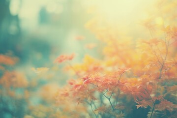 Sticker - Dreamy pastel Romantic Autumn forest background autumn backgrounds sunlight.