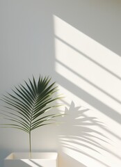 Sticker - Palm leaf & sunlight