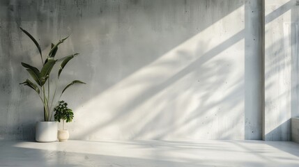 Poster - Clean white wall in a minimalist concrete office
