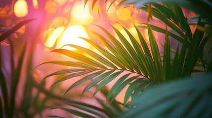 Canvas Print - Palm leaves at sunset