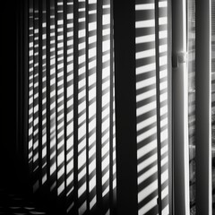 Canvas Print - Light and shadow play through blinds