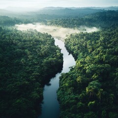 Poster - Aerial view of a winding river flowing through a lush, green rainforest.