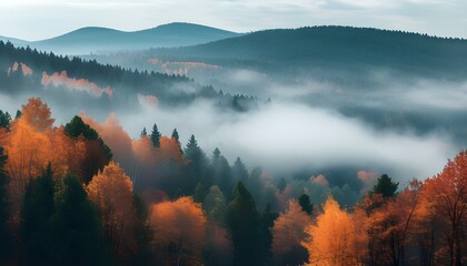 Misty autumn forest panorama showcasing vibrant fall colors in a serene nature landscape, perfect for wallpaper and background designs.