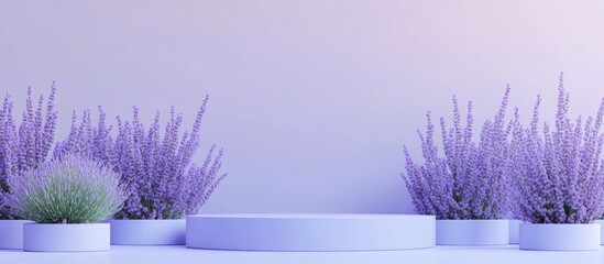 Wall Mural - Podium display featuring lavender flowers against a pastel purple backdrop Mockup for exhibitions product presentations wellness and relaxation 3D render