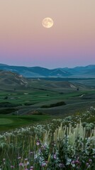 Wall Mural - Scenic mountain landscape with a full moon above, vibrant pastel sky at dusk, and wildflowers in the foreground