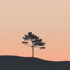 Wall Mural - Silhouette of a tree on a hill against a soft, pink sky.