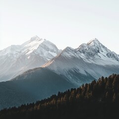 Canvas Print - Snow-capped mountains rise above a forest line, with a clear blue sky.