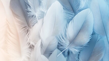 Poster - Soft Blue and White Feathers Texture Background