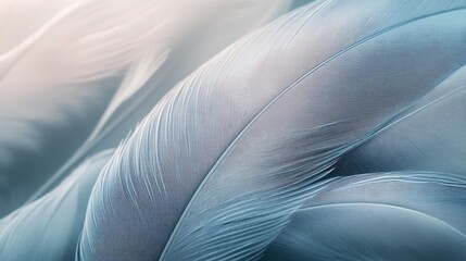 Abstract Blue Feather Texture Background