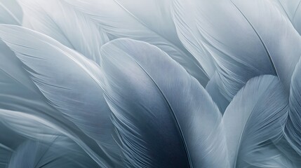 Poster - Abstract Feather Texture Background   Soft Blue and Grey Tones