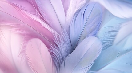 Poster - Soft Pastel Pink and Blue Feathers Texture Background