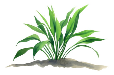 Wall Mural - PNG Plant leaf white background freshness.