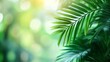 © Taras Vykhopen - A serene view of blurred tropical leaves in a lush forest during daylight hours