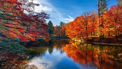 Wall Mural - autumn in the park