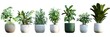 © Sanwa - This set of 7 high-quality  images features various potted houseplants isolated on a white background. Ideal for adding a touch of greenery to your design projects