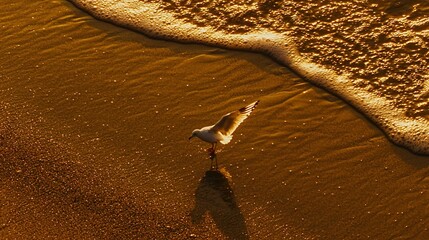 Canvas Print -   A white bird stands atop a sandy seashore as waves wash ashore