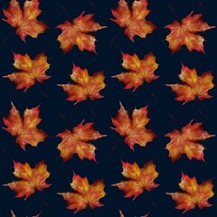 Vibrant autumn leaves against a dark background creating a striking seasonal pattern