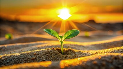 Small green seedling emerges from sandy soil under a glowing sunset. Generative AI