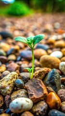 A small seedling emerges from rocky soil in a natural environment. Generative AI