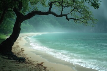 Wall Mural - A Misty Beach Scene with a Tree Branch Framing a Sandy Shore and Calm Water