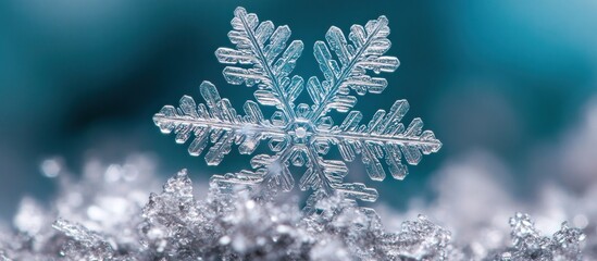 Wall Mural - A Single Snowflake Macro