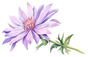 Poster - PNG Flower blossom dahlia petal.