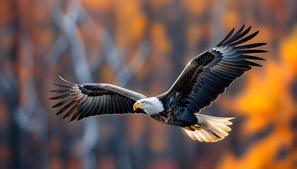 Majestic hawk in flight against a vibrant autumn backdrop, embodying the spirit of wild nature in dynamic motion