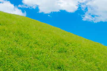 Lush green grass field sloping upward under a bright blue sky with white fluffy clouds.