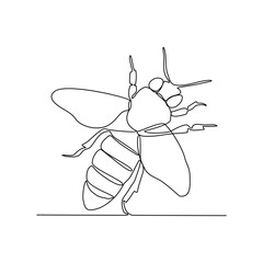 Wall Mural - One continuous line drawing of 
insect vector illustration. Animal insect themes design concept in simple linear style. Sensory organs used for touch, smell, and sometimes taste. good for education.