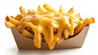 © kucindacat - French fries covered with melted cheese sauce in a cardboard container