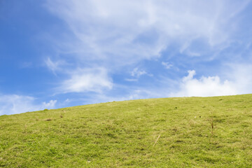 Green grassy hill with blue sky and white clouds.