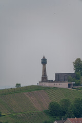 View on grand cru Champagne vineyards near Lighthouse of Verzy, rows of pinot noir grape plants in Montagne de Reims near Verzy and Verzenay, Champagne, France