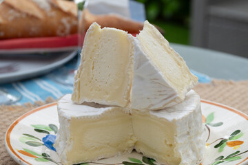 Wall Mural - French soft Camembert cheese, original Camembert de Normandie, close up with white mold