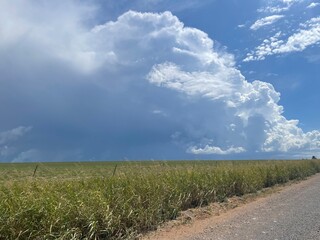 road to the sky