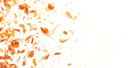 Wall Mural - leaves falling in the air leaf confetti blossom.
