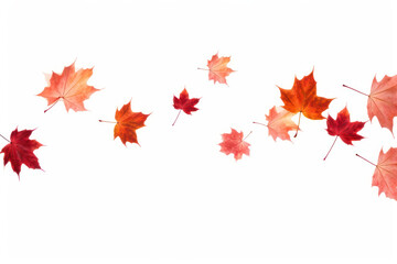 Sticker - PNG Maple leaves backgrounds plant leaf.