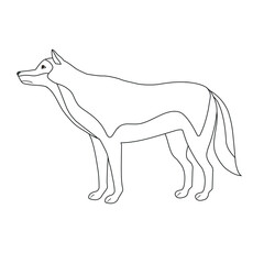 Wall Mural - Vector flat hand drawn outline wolf isolated on white background