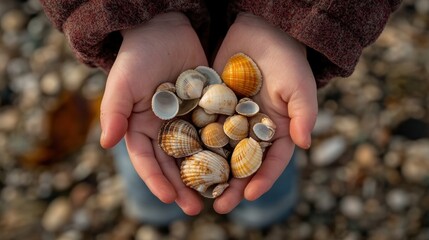 A Child's Hands Filled with Seashells