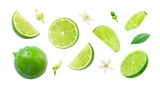 Lime has water drop with lime slices and flower texture isolated on white background , Clipping path.