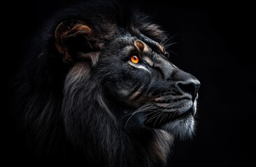 Poster - Majestic Lion Portrait