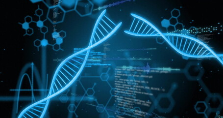 Canvas Print - image of digital data processing and dna strands on black background
