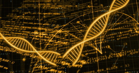 Poster - Image of digital data processing and dna strands on black background